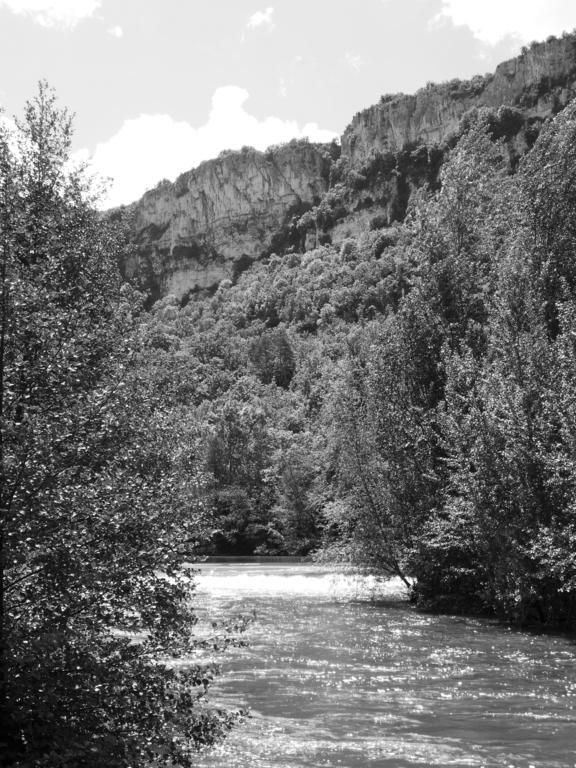 Auberge Lion D'Or Saint-Antonin Bagian luar foto