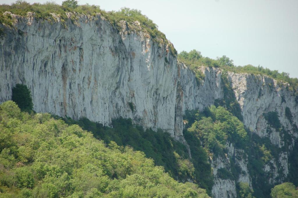 Auberge Lion D'Or Saint-Antonin Ruang foto