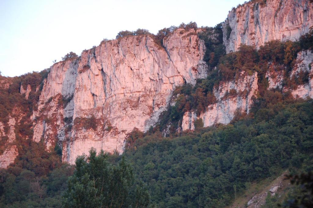Auberge Lion D'Or Saint-Antonin Bagian luar foto